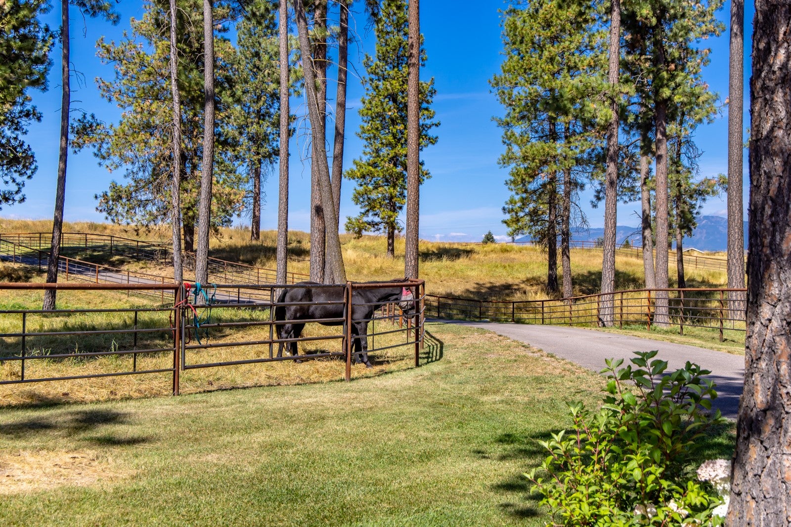 500 Rodeo Drive Columbia Falls, MT 59912 - Photo 75 of 183 Gallery Image 75
