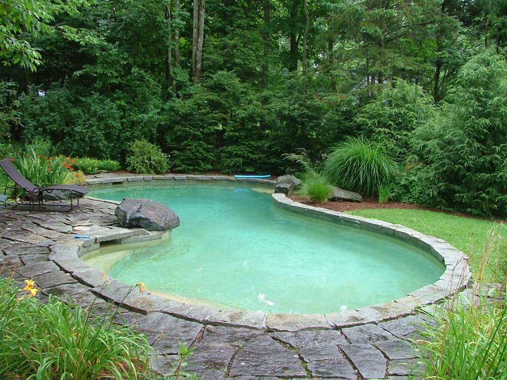 7 Old Tree Farm Road Stockbridge, MA 01266 - Photo 21 of 21 a view of a swimming pool with a yard