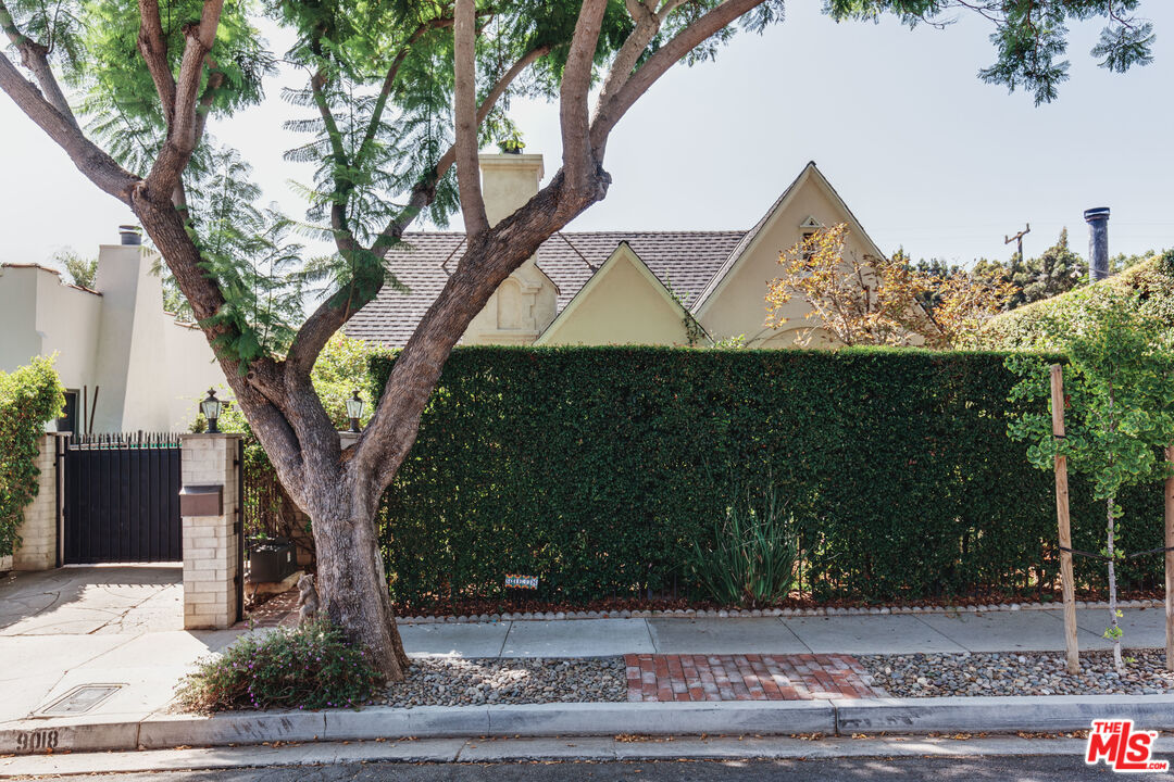 9018 Elevado Avenue West Hollywood, CA 90069 - Photo 32 of 32 a view of a tree in front of a house with large trees