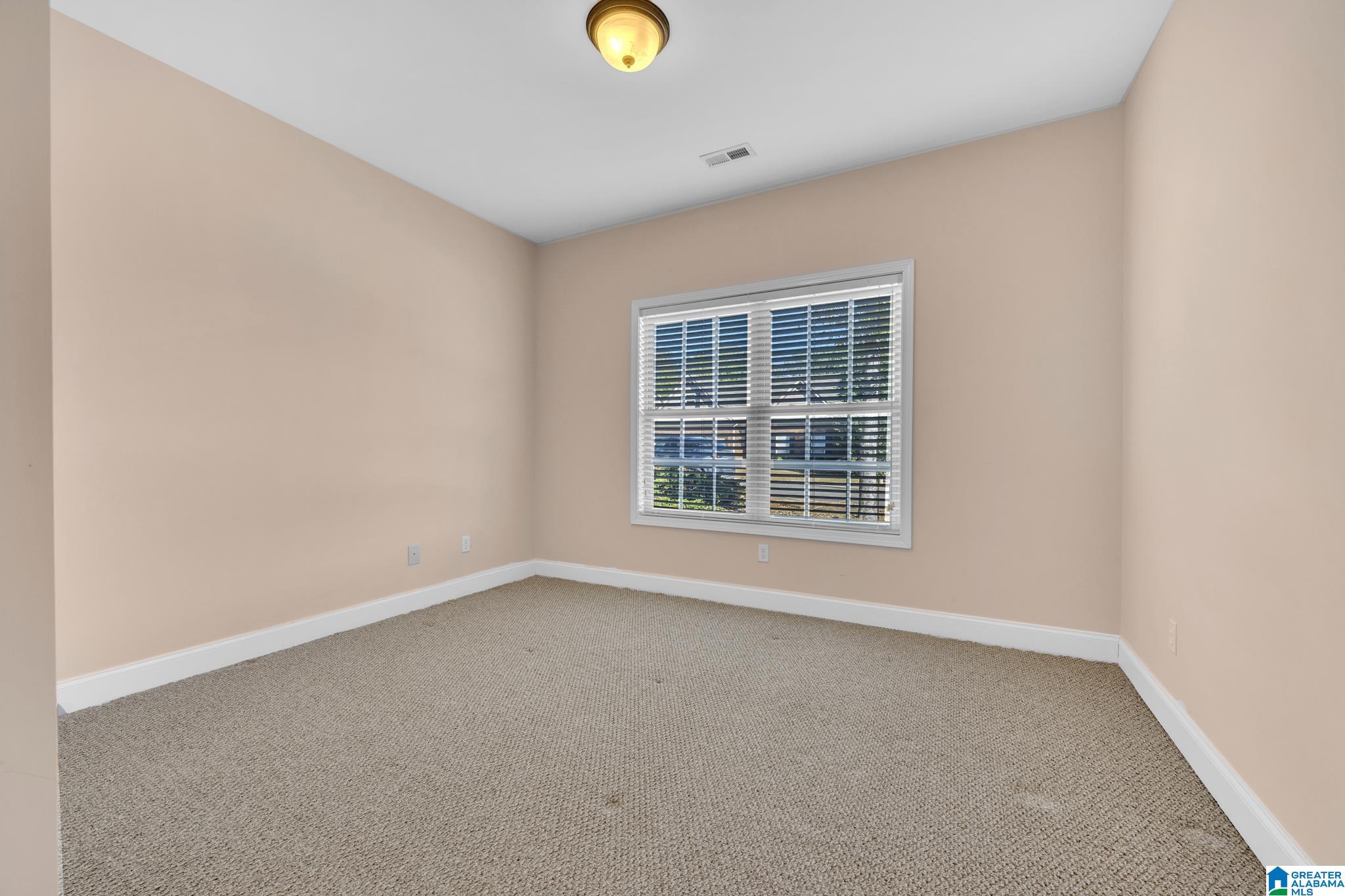 71 Dunbar Trace Dora, AL 35062 - Photo 17 of 29