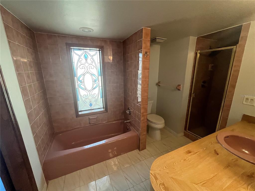 5375 Patricia Place Weeki Wachee, FL 34607 - Photo 38 of 61