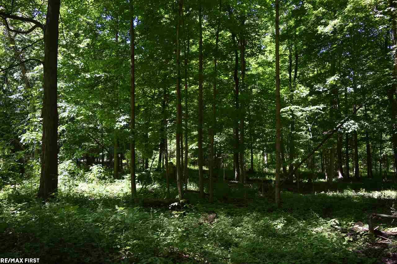 Kilgore Road Avoca, MI 48006 - Photo 11 of 11