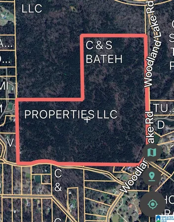 $3,000,000 | Lake Court, Woodstock, AL 35188