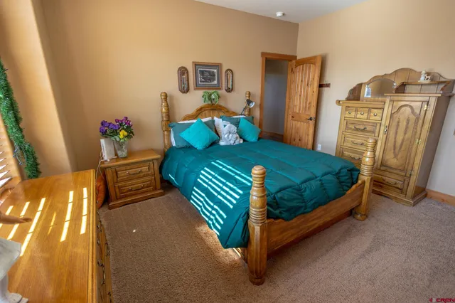 a bedroom with a bed and a closet