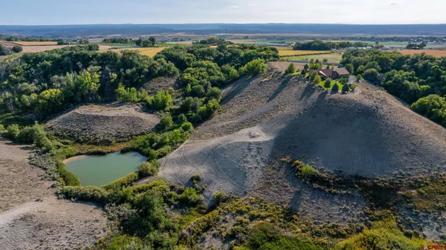 a view of a garden with an outdoor space