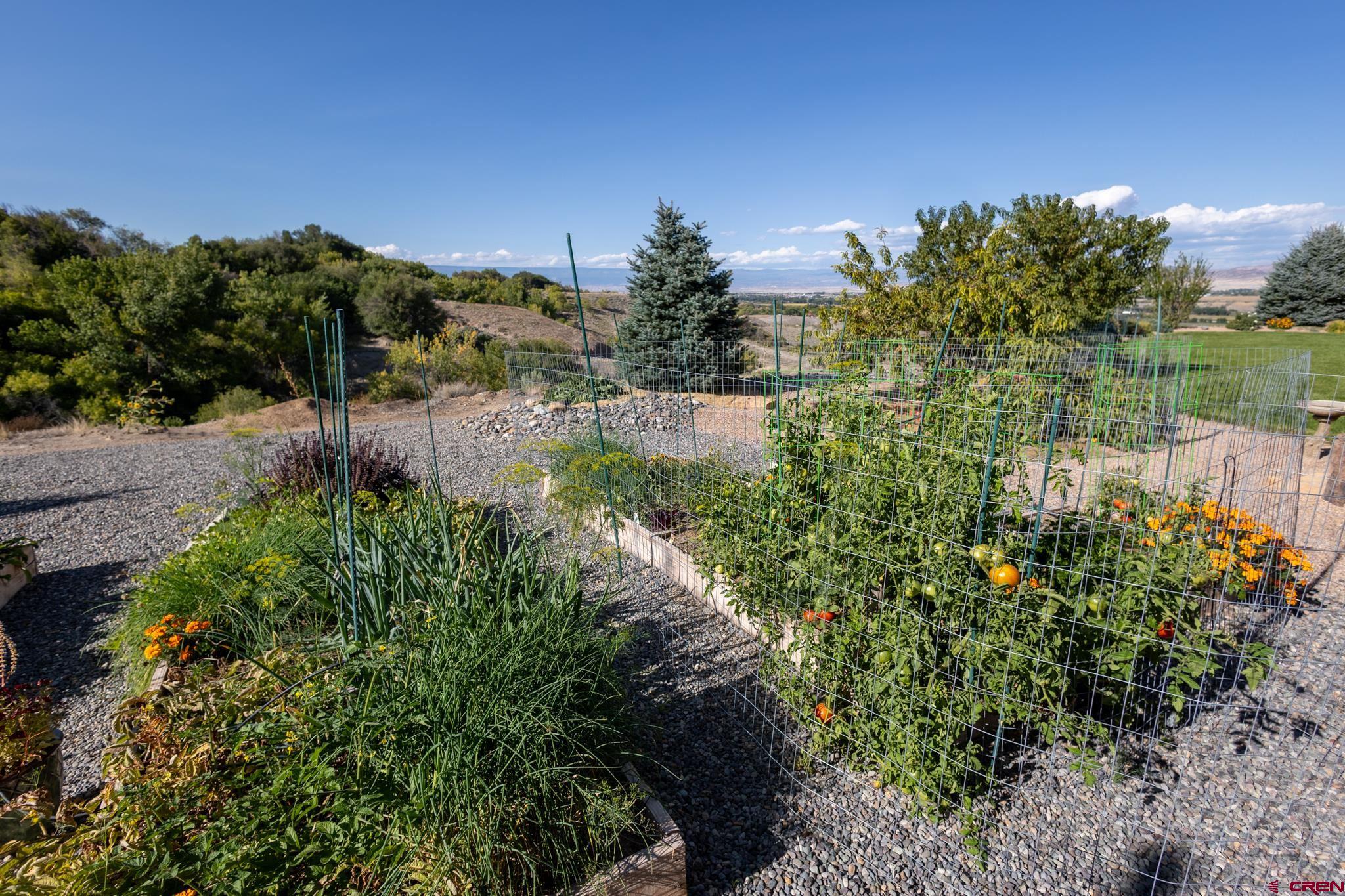 9550 High Mesa Road Olathe, CO 81425 - Photo 31 of 43 a view of a garden with a lake