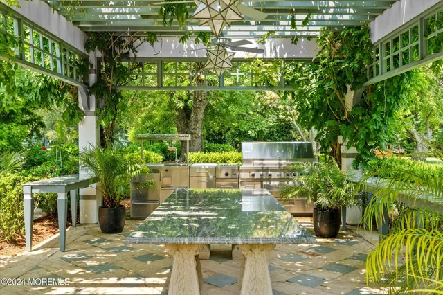 a view of a garden with plants