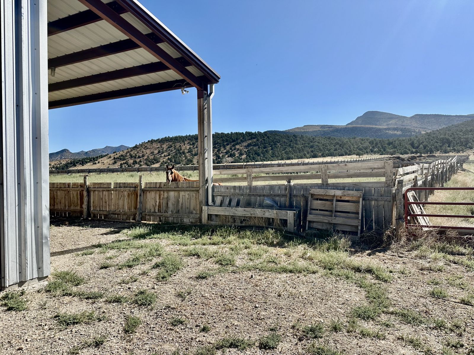Segura Ranch Tonopah, NV 89049 - Photo 6 of 39 Gallery Image 6