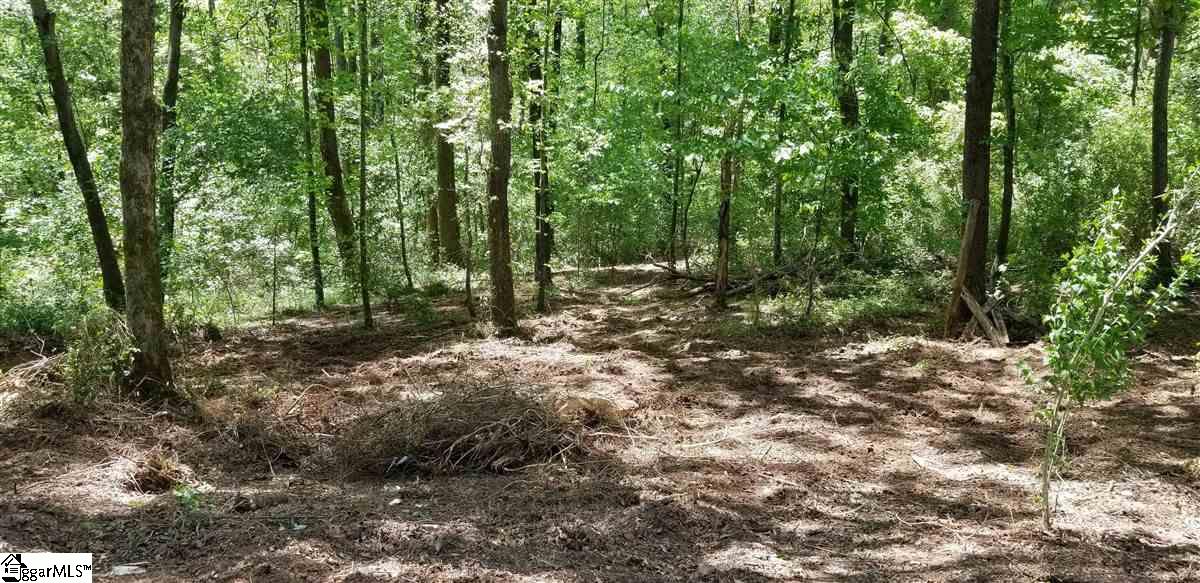 440 Cox Road Greer, SC 29651 - Photo 2 of 10 Gallery Image 2