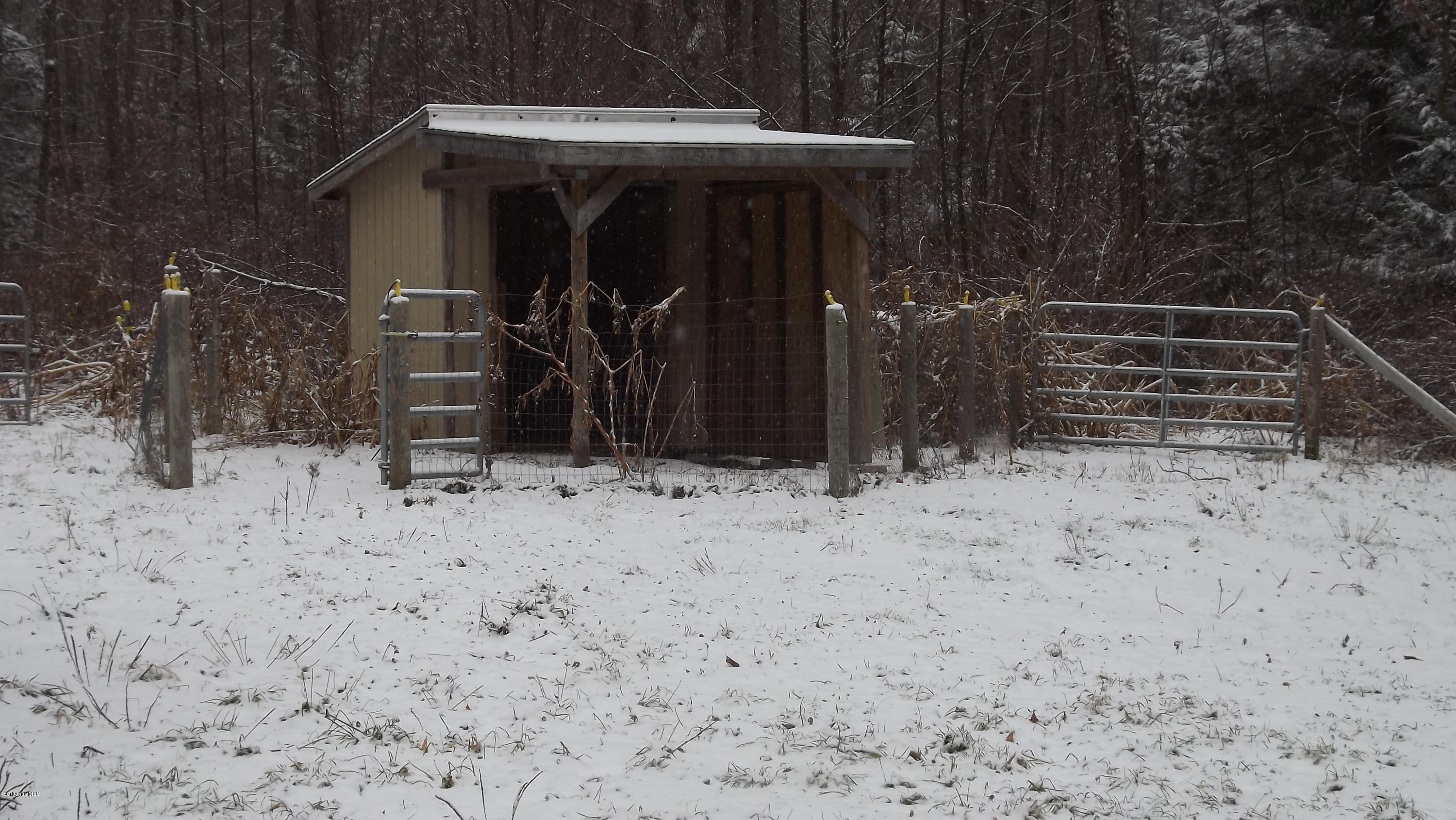 66 Dimmock Road Otis, MA 01253 - Photo 16 of 17 Run In Shed