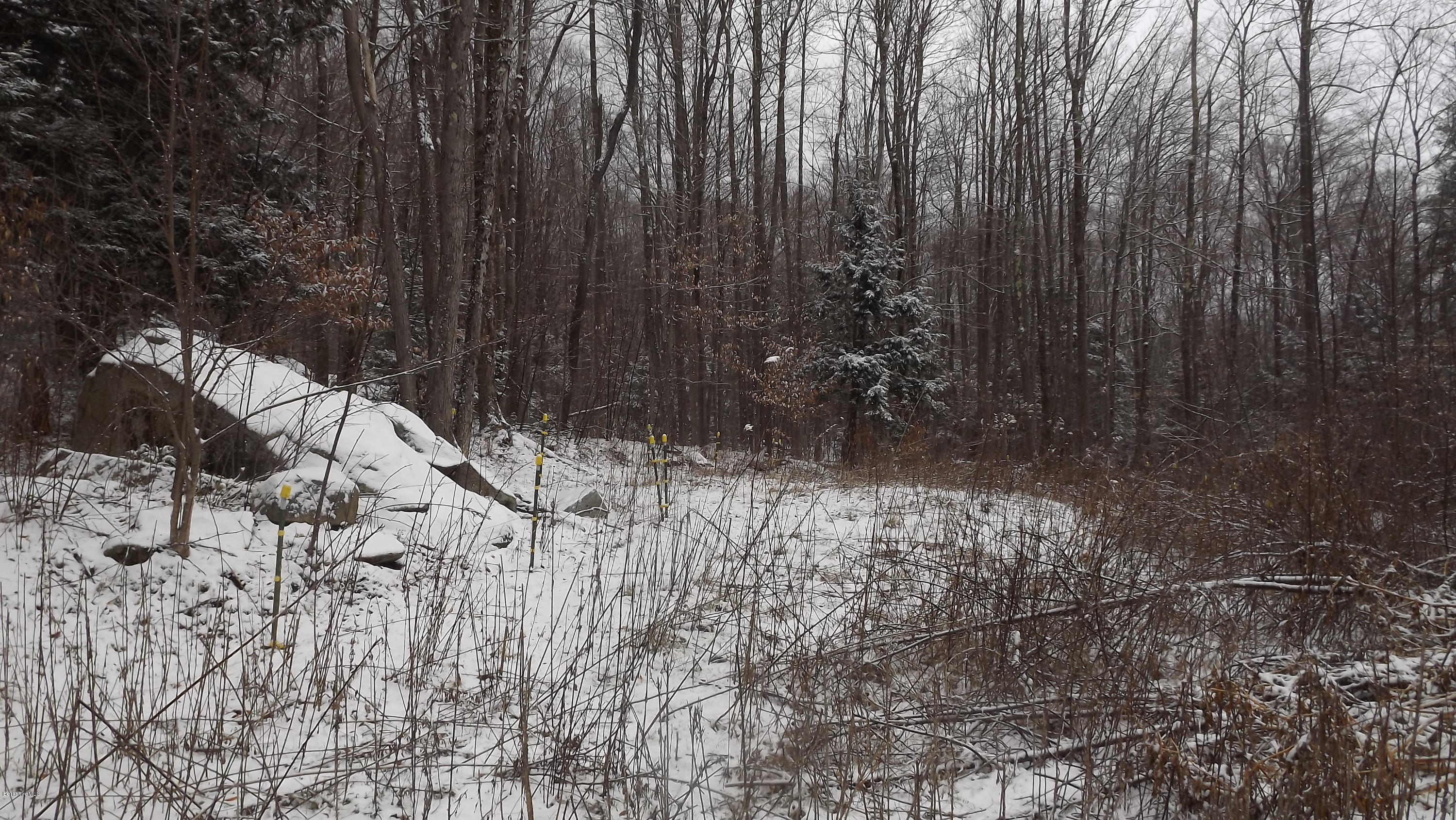 66 Dimmock Road Otis, MA 01253 - Photo 4 of 17 back yard 2