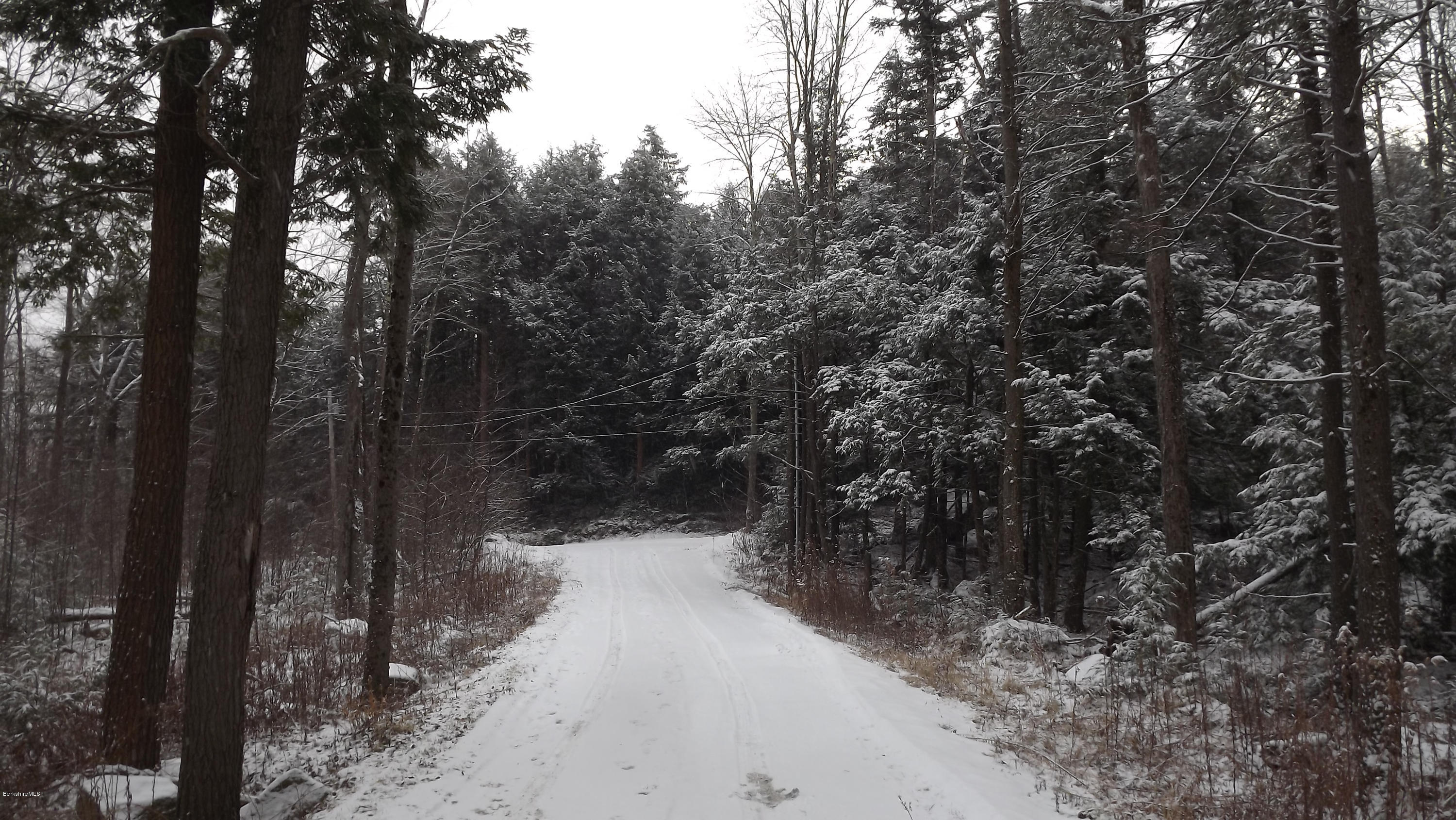 66 Dimmock Road Otis, MA 01253 - Photo 5 of 17 Driveway from house