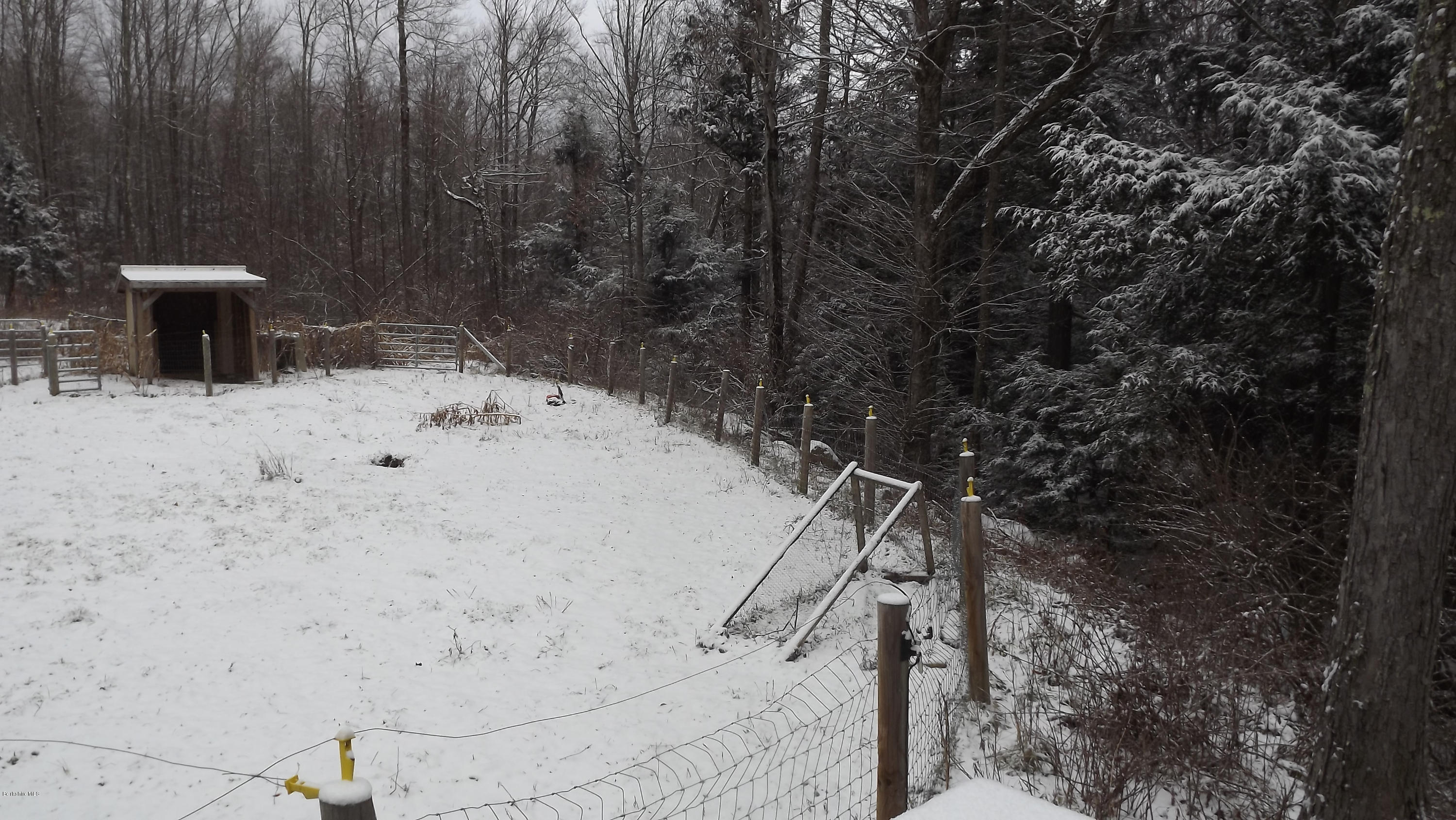 66 Dimmock Road Otis, MA 01253 - Photo 6 of 17 Fenced in horse paddock