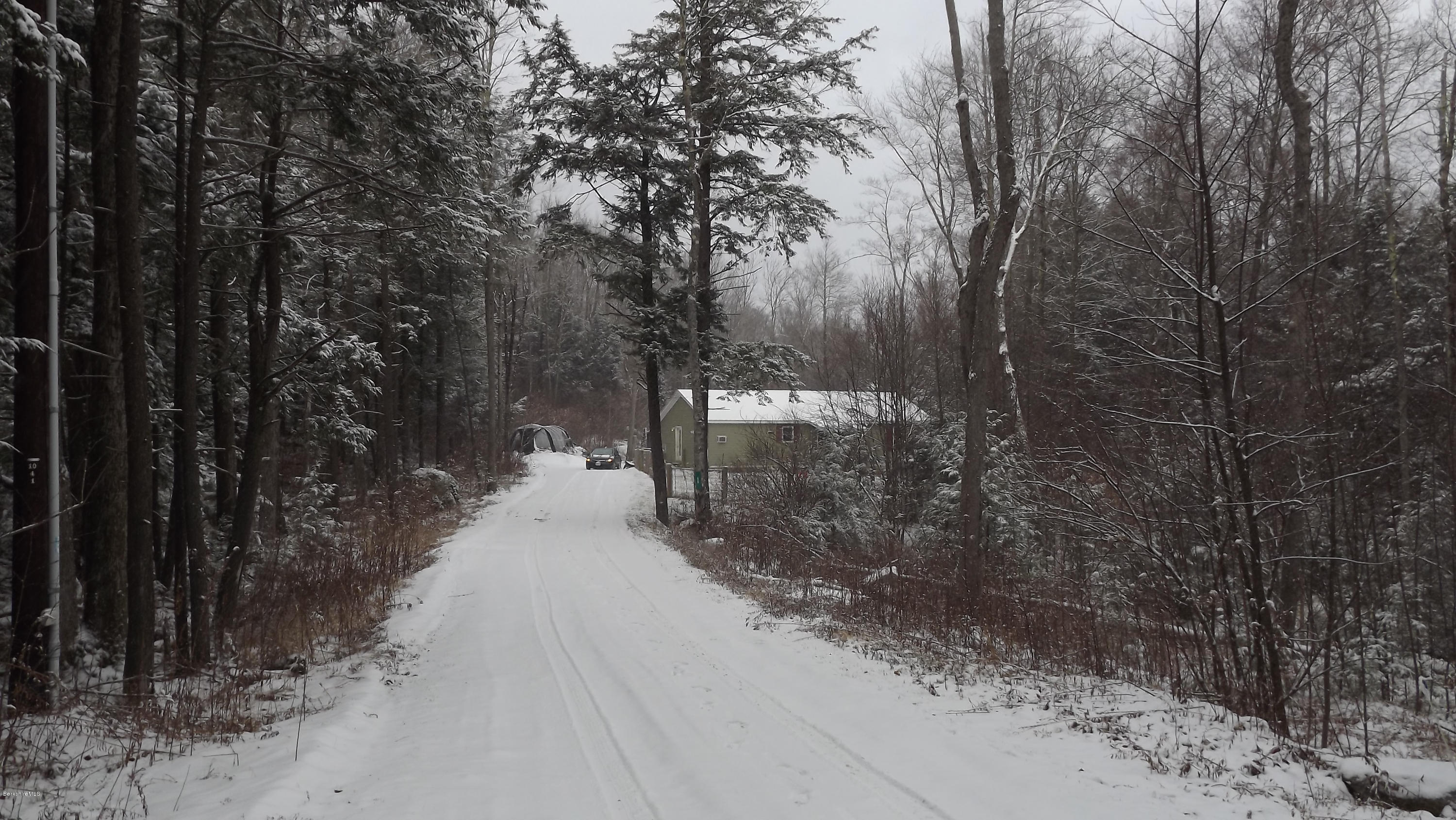 66 Dimmock Road Otis, MA 01253 - Photo 10 of 17 house from driveway