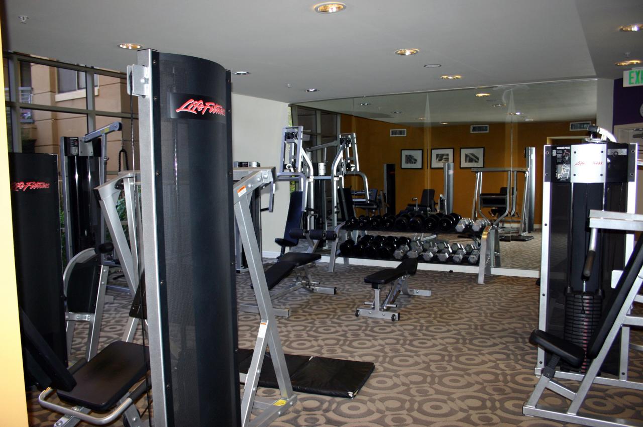1701 East Colter Street, Unit 239 Phoenix, AZ 85016 - Photo 11 of 20 1st Floor Fitness Center