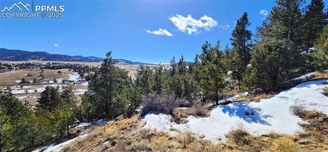 a view of a yard with a snow in the background