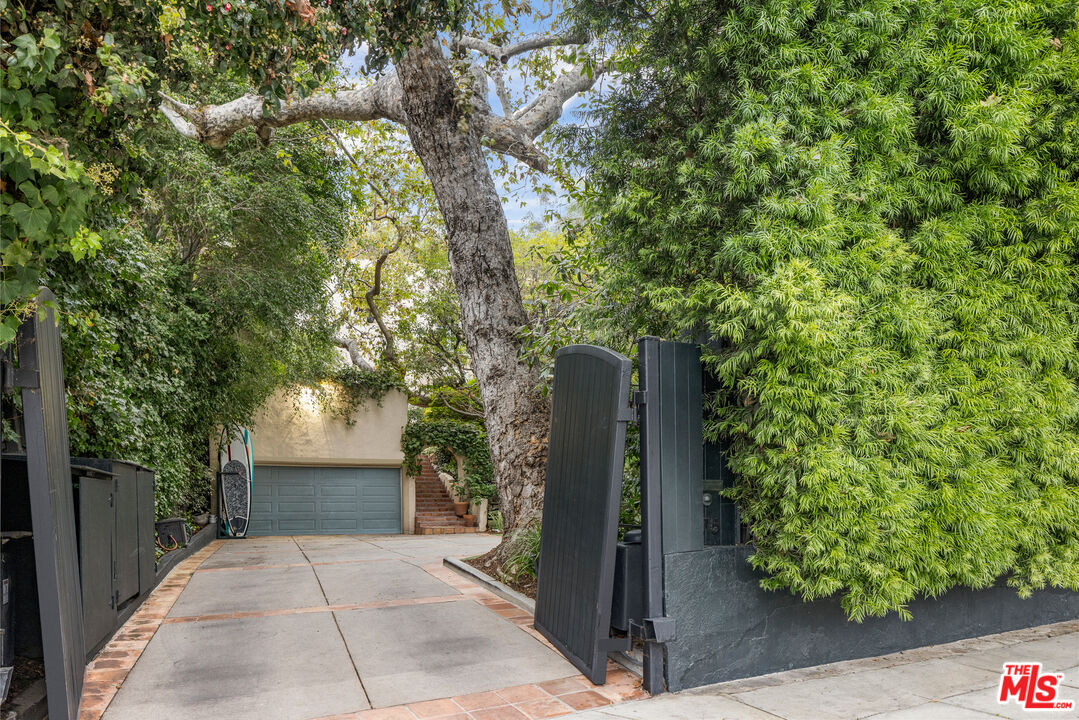 175 West Channel Road Santa Monica, CA 90402 - Photo 39 of 53 a view of backyard with plants and trees