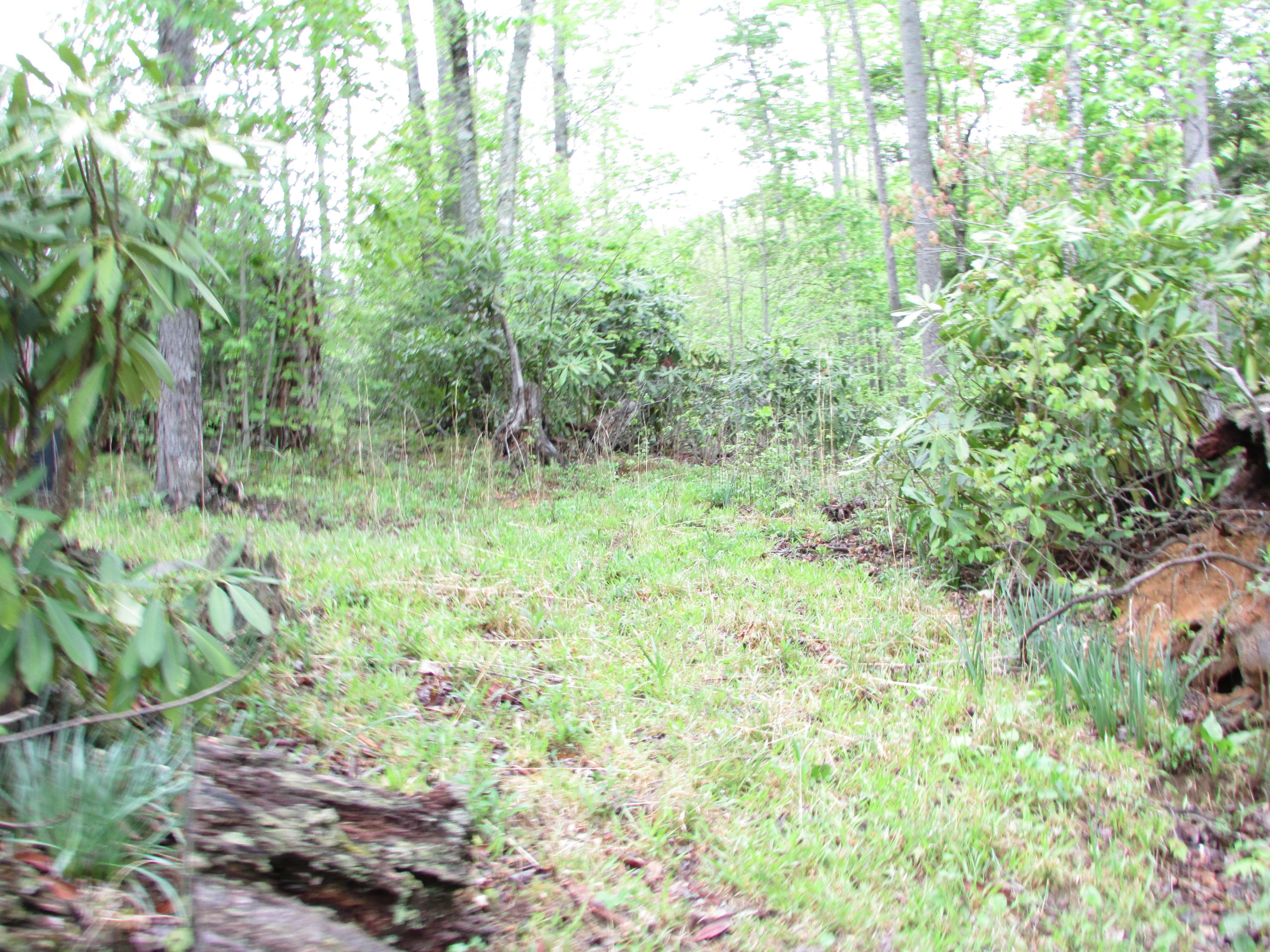 167 Violet Lane Hampton, TN 37658 - Photo 17 of 55 167 Violet Lane Hampton TN 37658 (25)