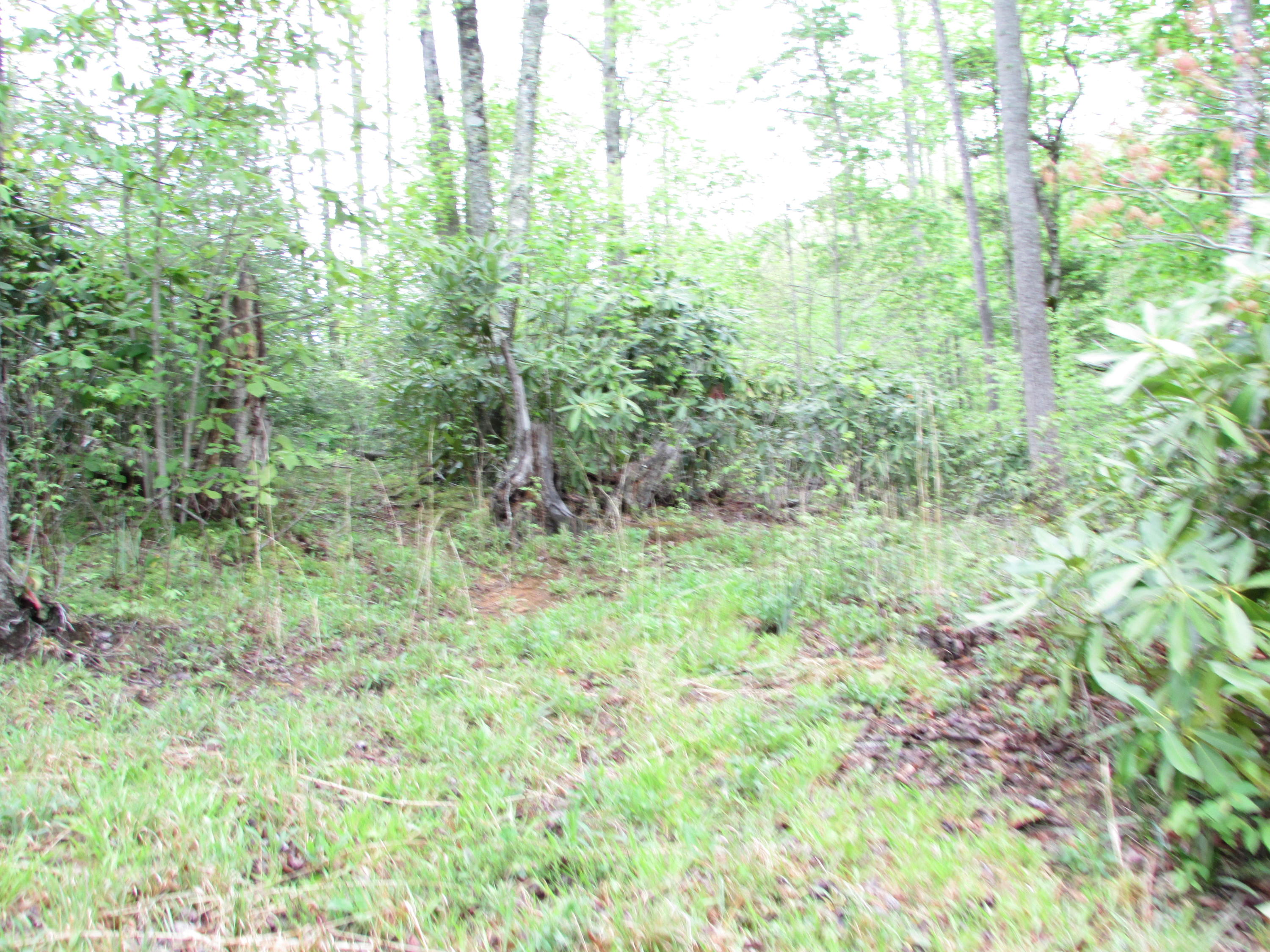 167 Violet Lane Hampton, TN 37658 - Photo 18 of 55 167 Violet Lane Hampton TN 37658 (26)
