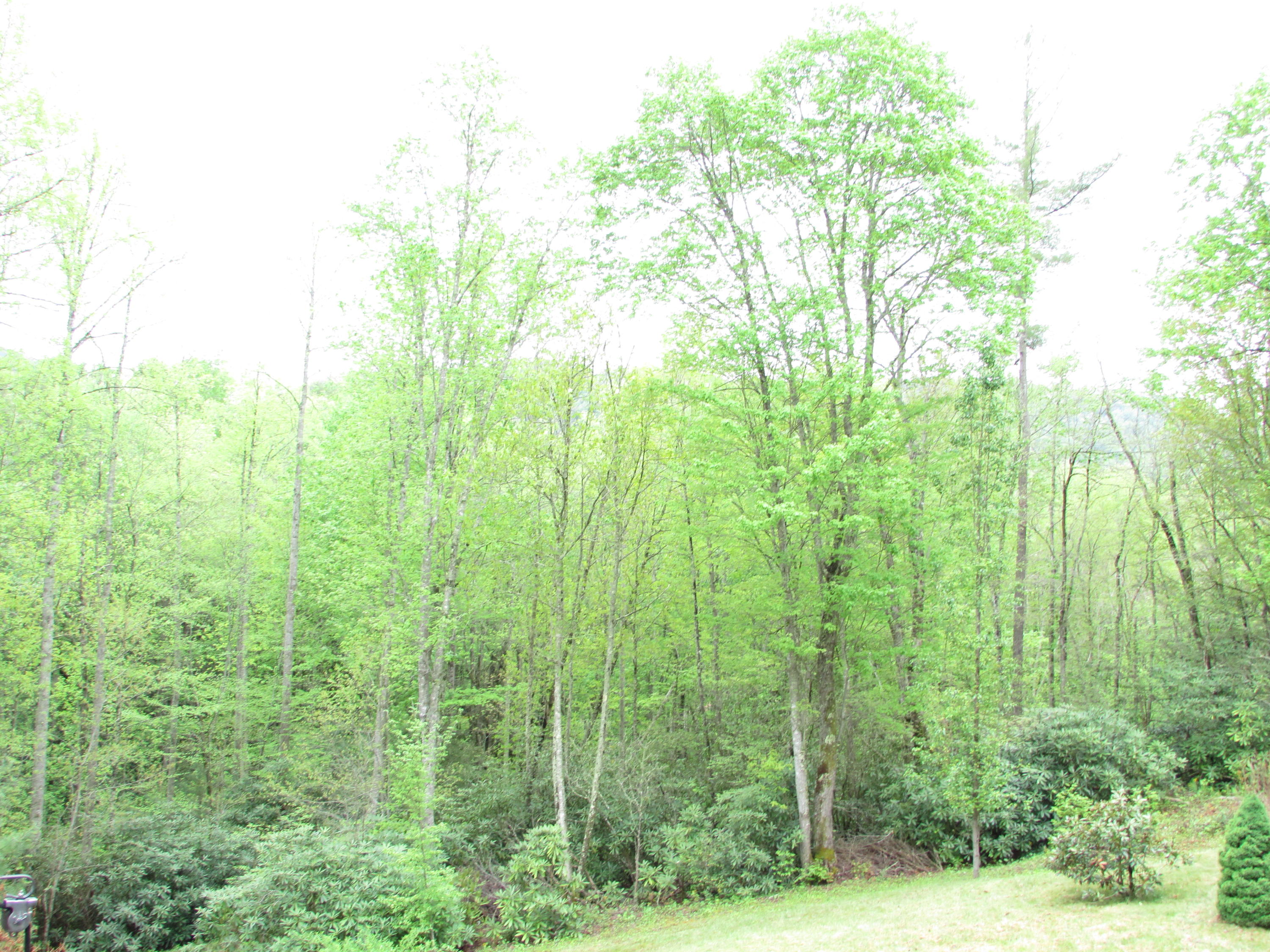 167 Violet Lane Hampton, TN 37658 - Photo 20 of 55 167 Violet Lane Hampton TN 37658 (29)