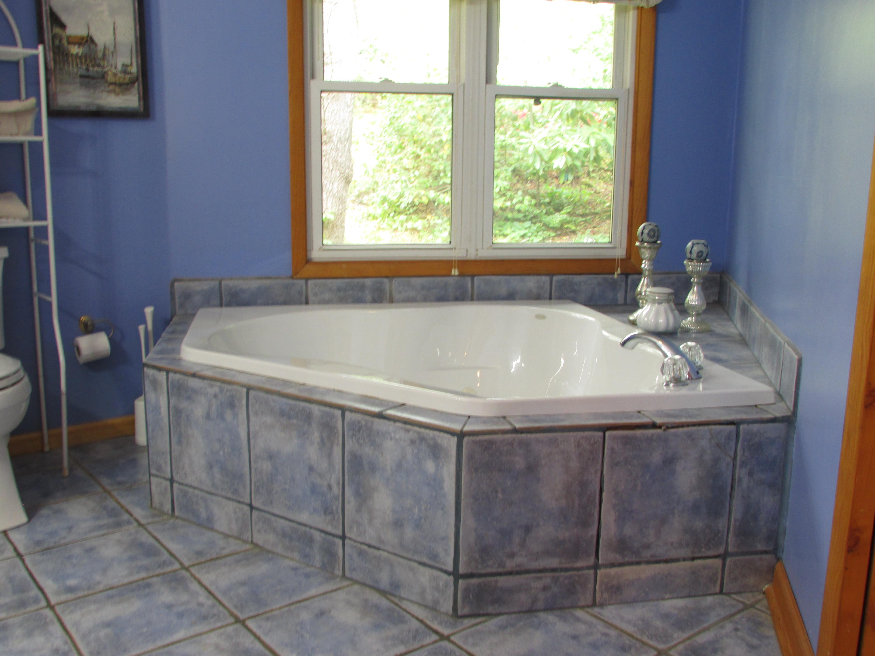 167 Violet Lane Hampton, TN 37658 - Photo 30 of 55 167 Violet Lane Hampton TN 37658 (48)