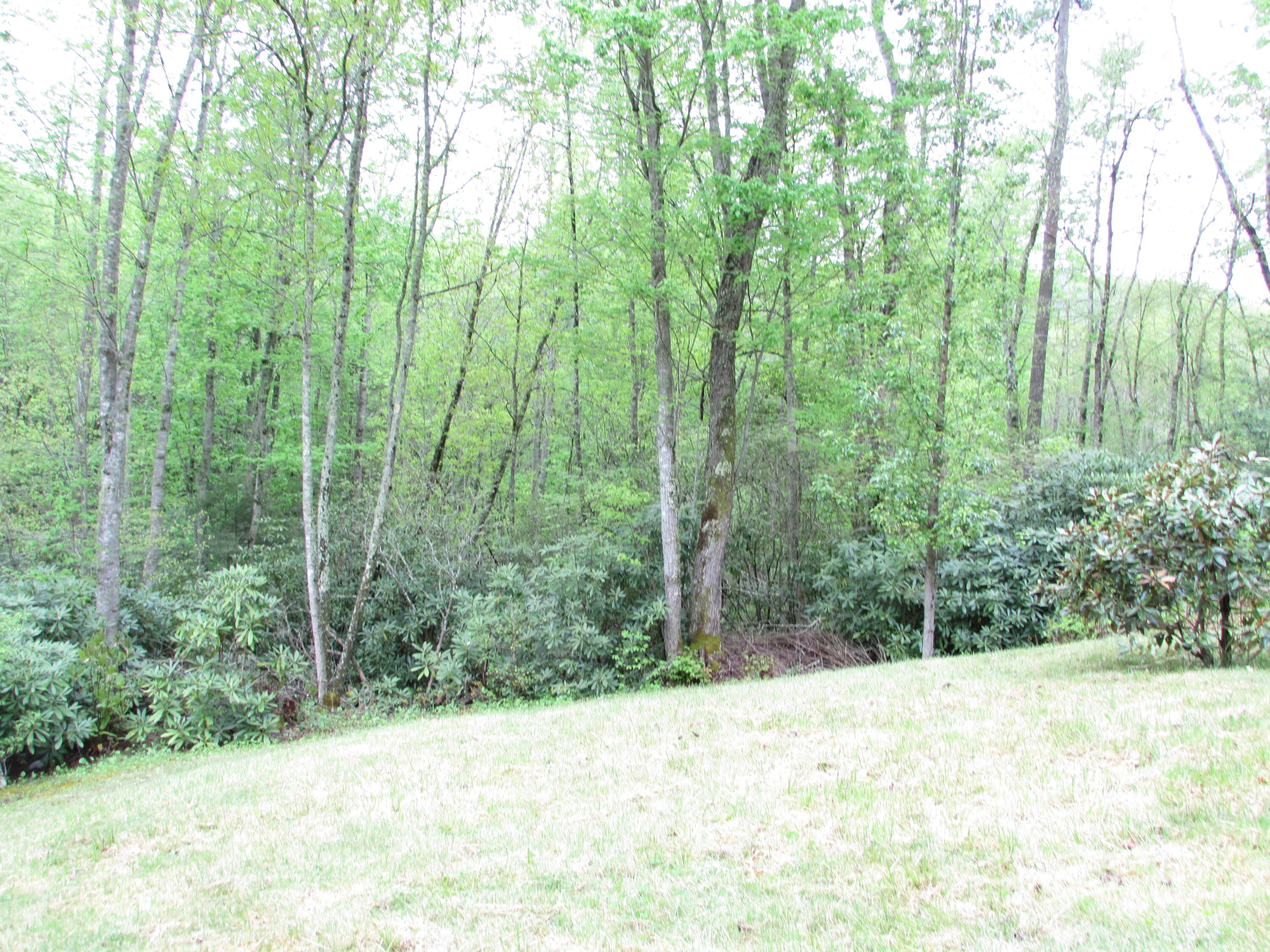 167 Violet Lane Hampton, TN 37658 - Photo 4 of 55 167 Violet Lane Hampton TN 37658 (7)