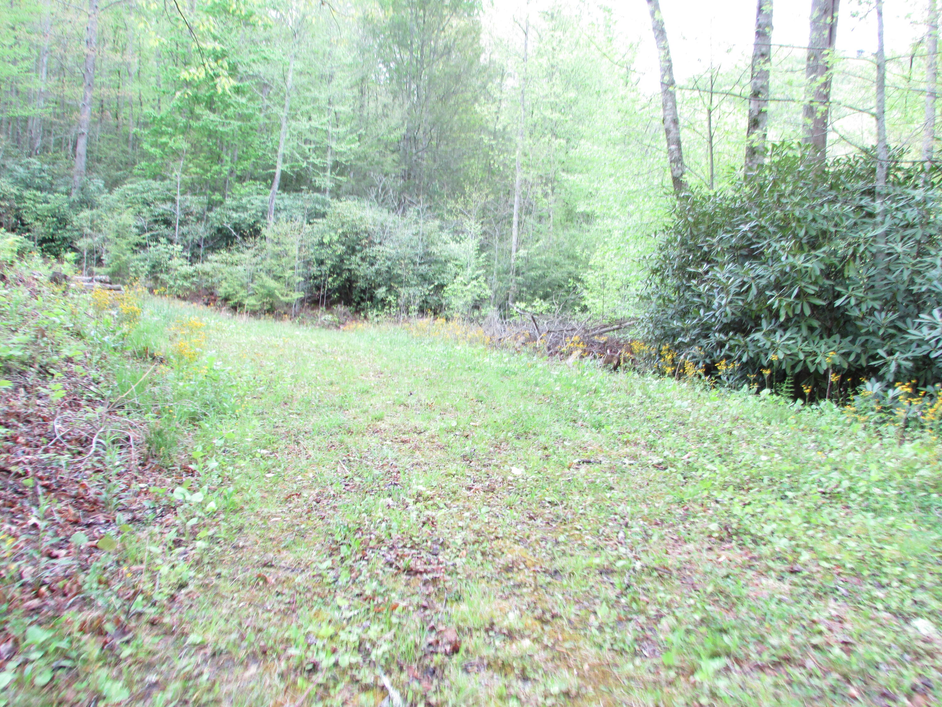 167 Violet Lane Hampton, TN 37658 - Photo 5 of 55 167 Violet Lane Hampton TN 37658 (8)