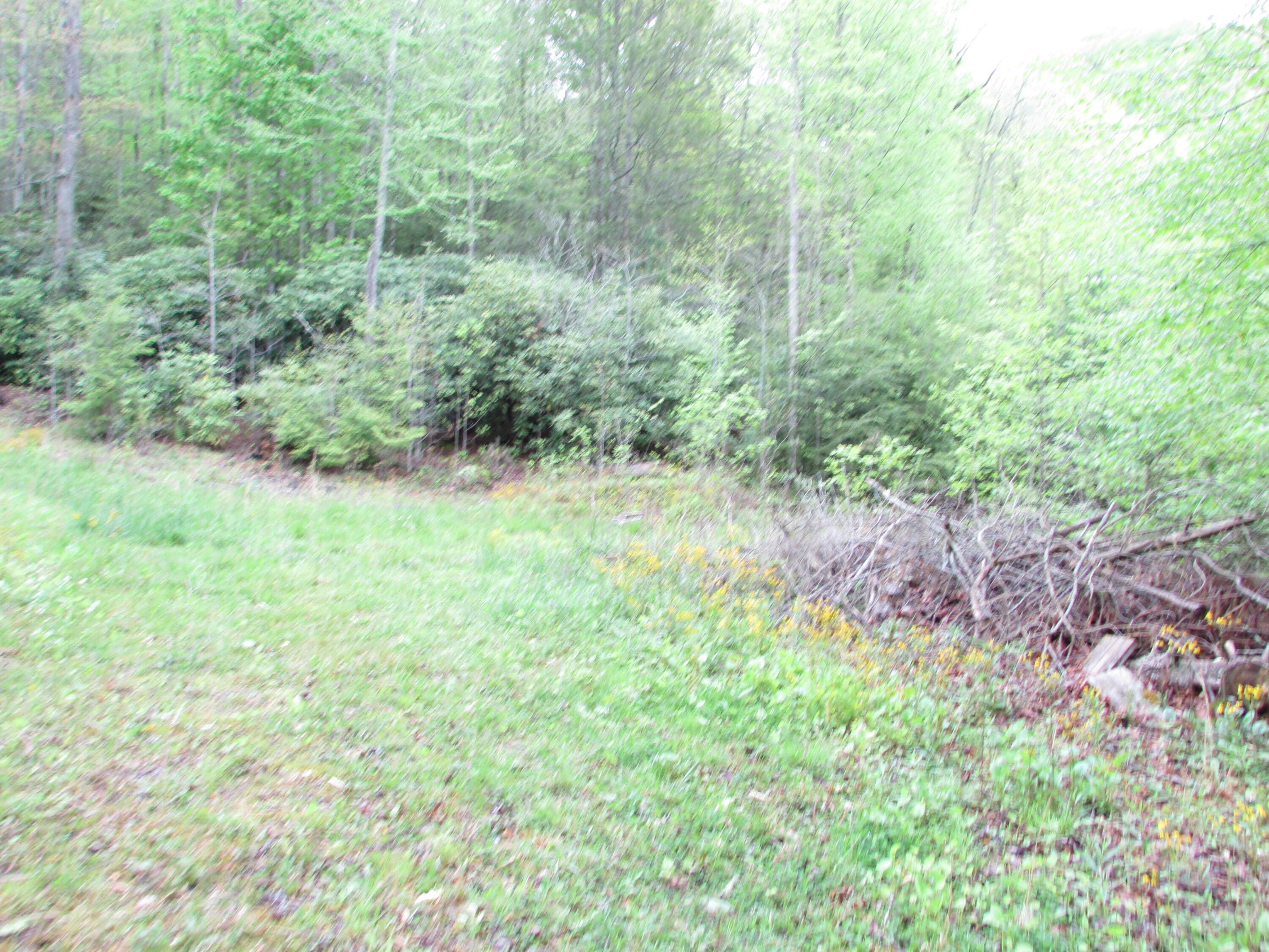 167 Violet Lane Hampton, TN 37658 - Photo 6 of 55 167 Violet Lane Hampton TN 37658 (9)