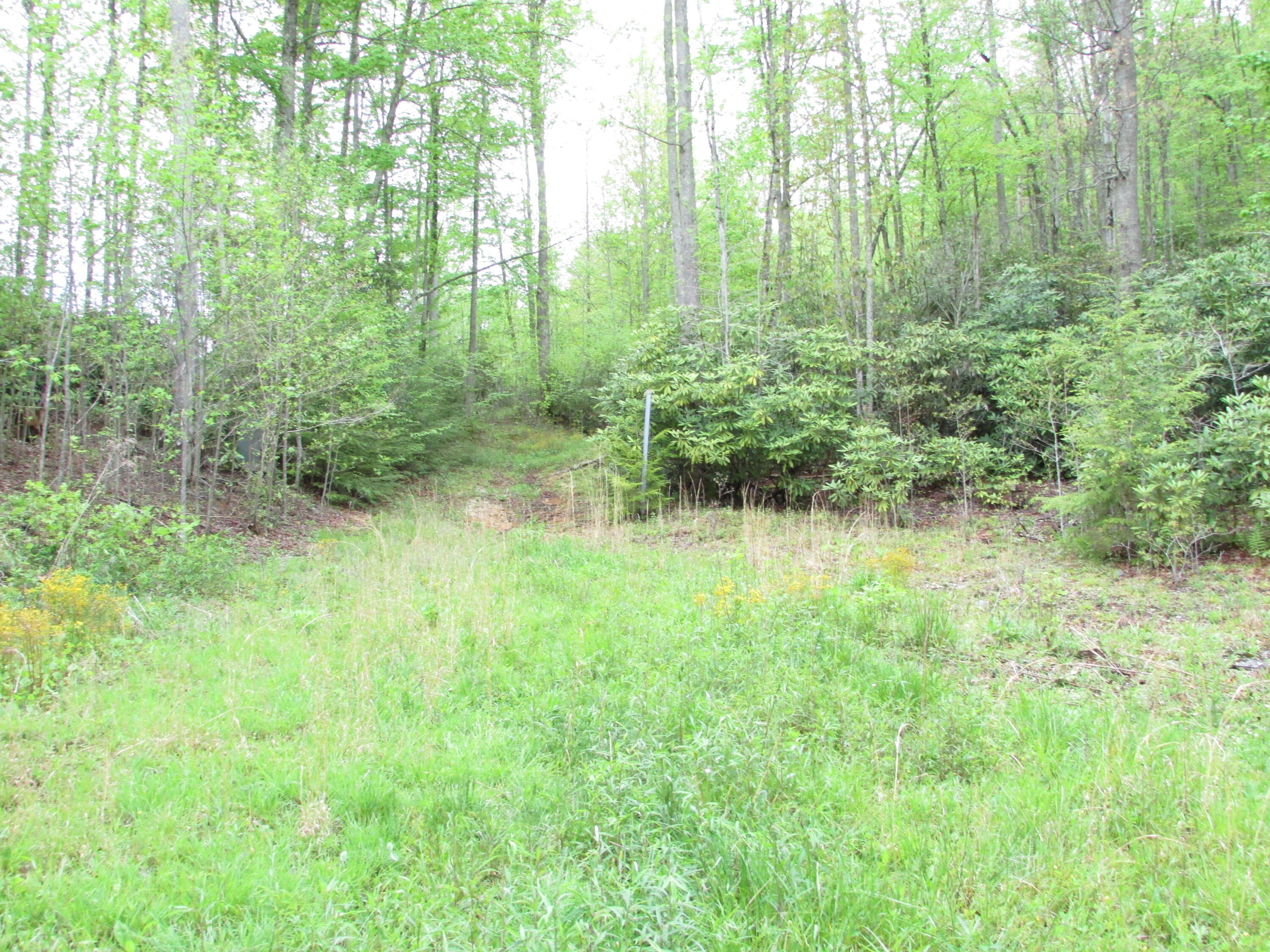 167 Violet Lane Hampton, TN 37658 - Photo 9 of 55 167 Violet Lane Hampton TN 37658 (12)