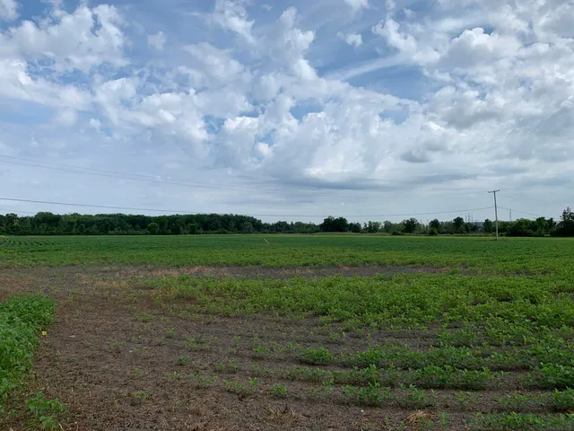 $929,000 | 0 Gibraltar Road, Flat Rock, MI 48134