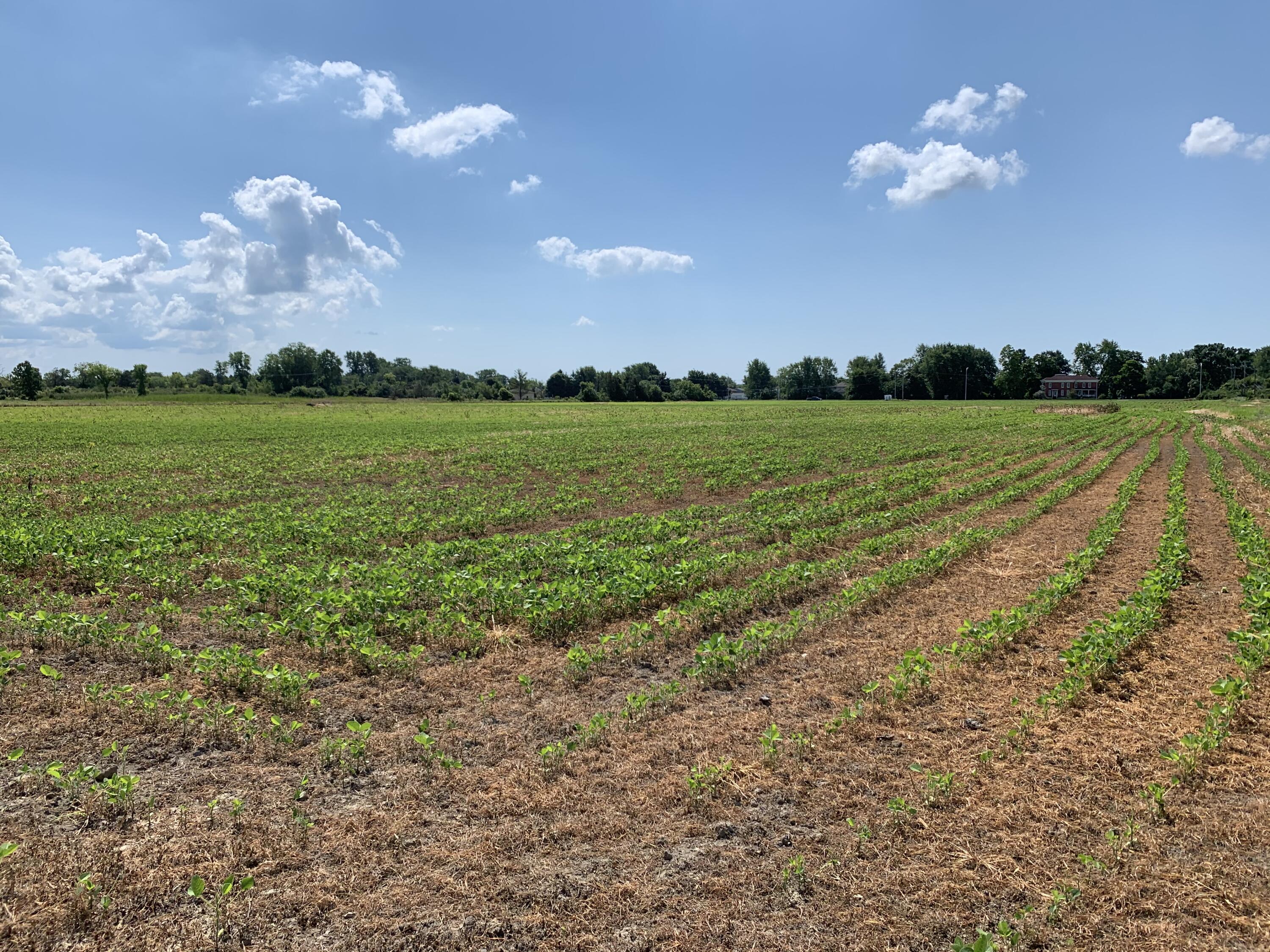 0 Gibraltar Road Flat Rock, MI 48134 - Photo 3 of 3 IMG_2612