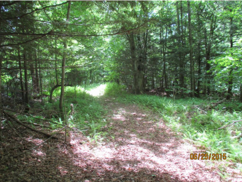 3111 Buzzell Road Newport Town, VT 05857 - Photo 3 of 14 Gallery Image 3