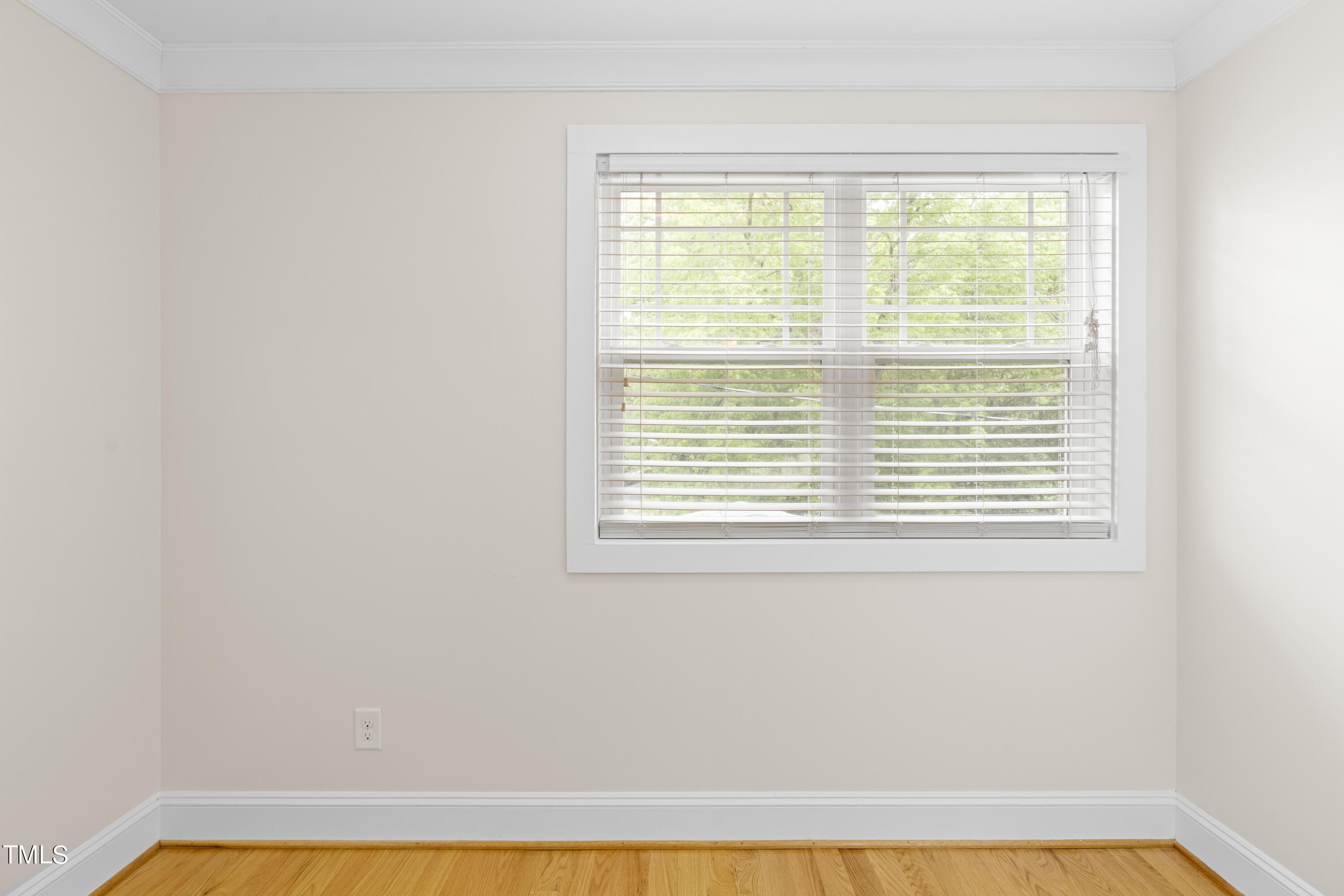 118 Camden Street Raleigh, NC 27601 - Photo 26 of 34 DSC08756