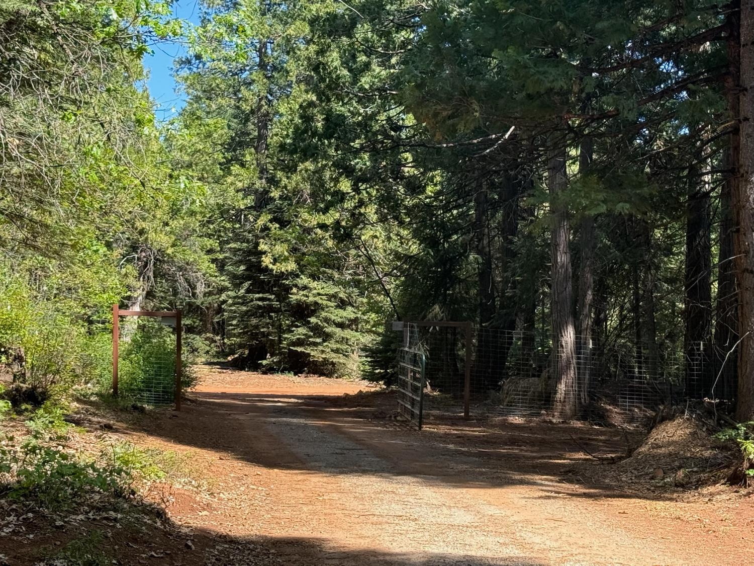 14940 Chalk Bluff Road Nevada City, CA 95959 - Photo 24 of 29 a view of yard with tree