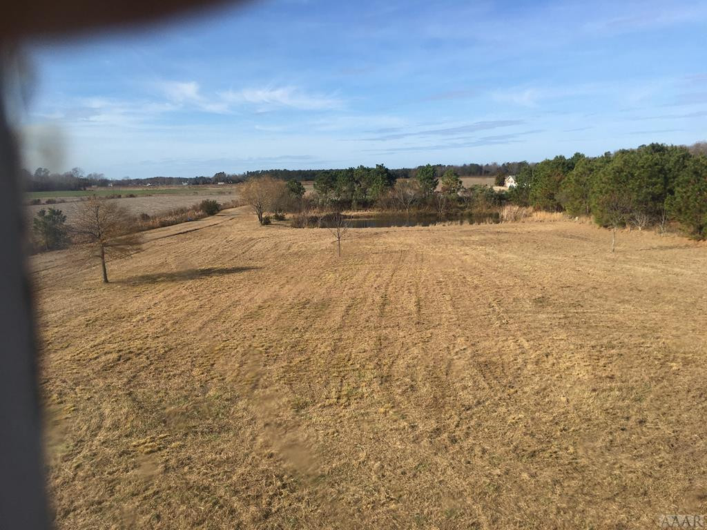 208 Sandy Cross Road Belvidere, NC 27919 - Photo 8 of 12 Gallery Image 8