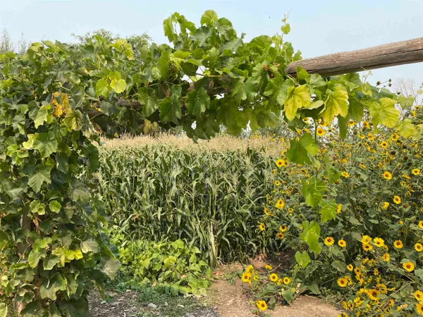 $799,999 | 564 Blue Lakes Boulevard, Twin Falls, ID 83301