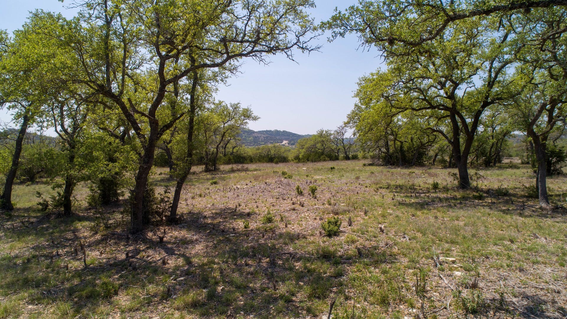 101 Bluff Ridge Trail Blanco, TX 78606 - Photo 1 of 1 Gallery Image 1
