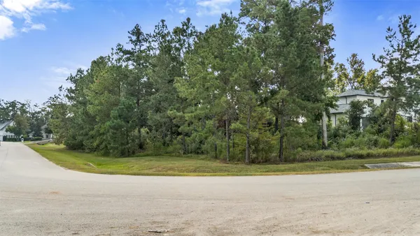 a view of a yard with a trees