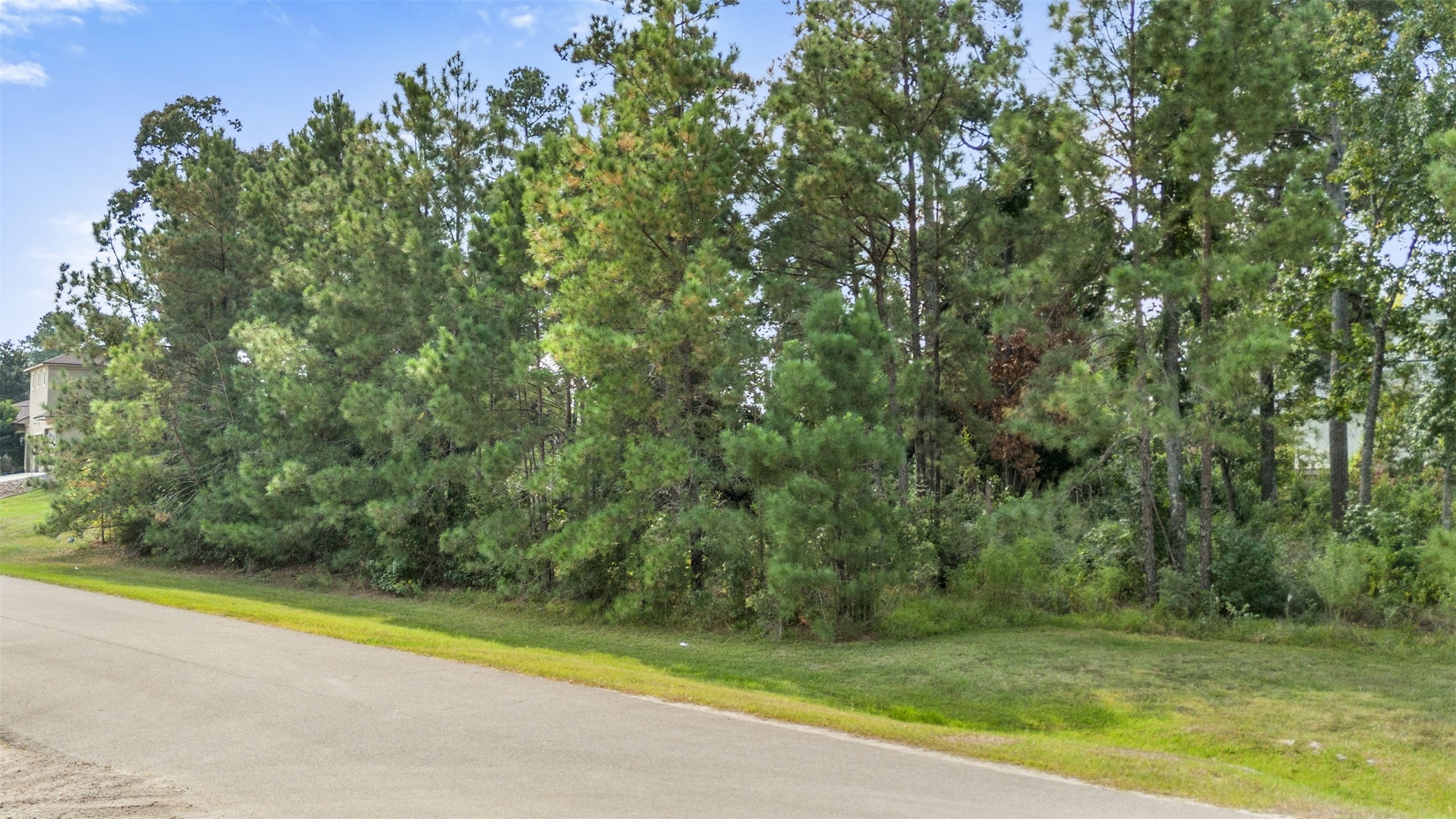 27919 Inspire Crest Landing Spring, TX 77386 - Photo 12 of 17 a view of a yard with a trees