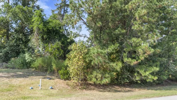 a view of a yard