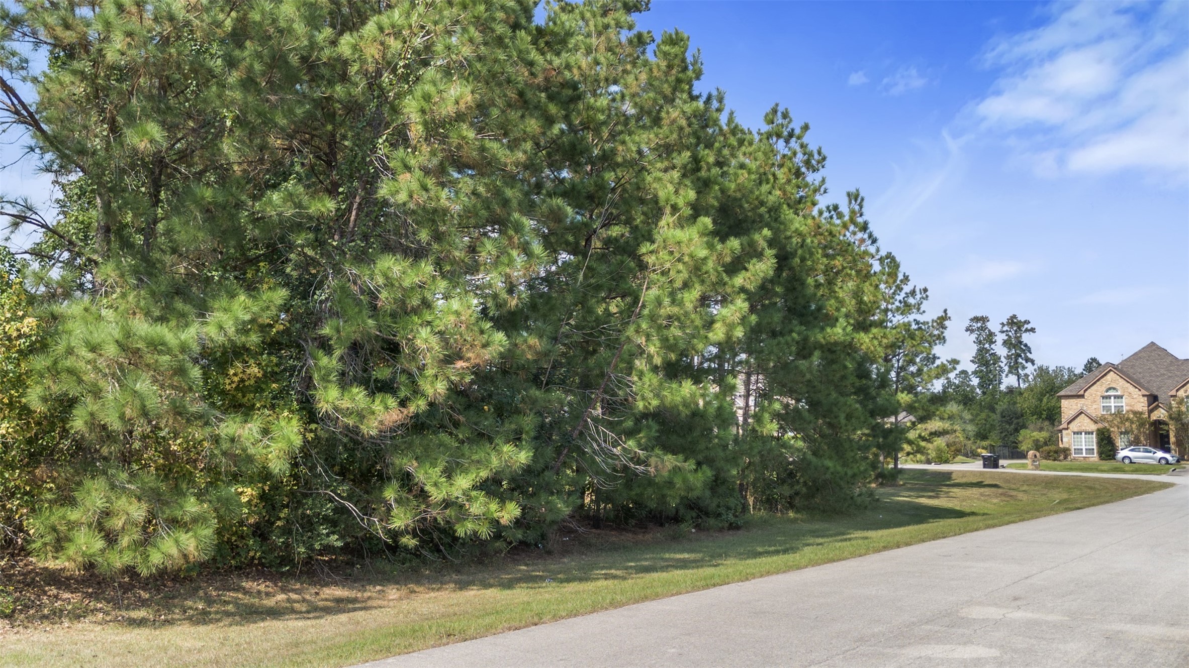 27919 Inspire Crest Landing Spring, TX 77386 - Photo 14 of 17 a view of a yard