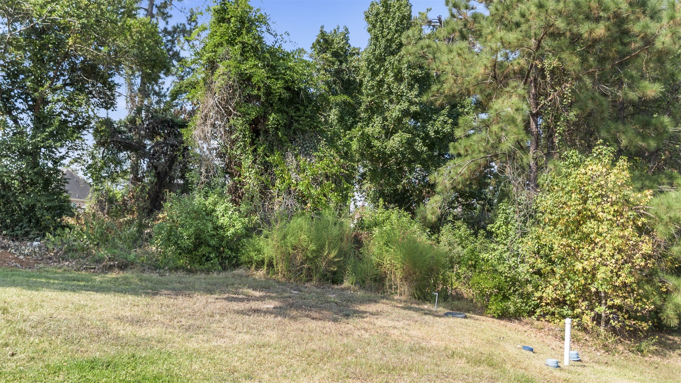 27919 Inspire Crest Landing Spring, TX 77386 - Photo 15 of 17 a view of a yard with plants and trees