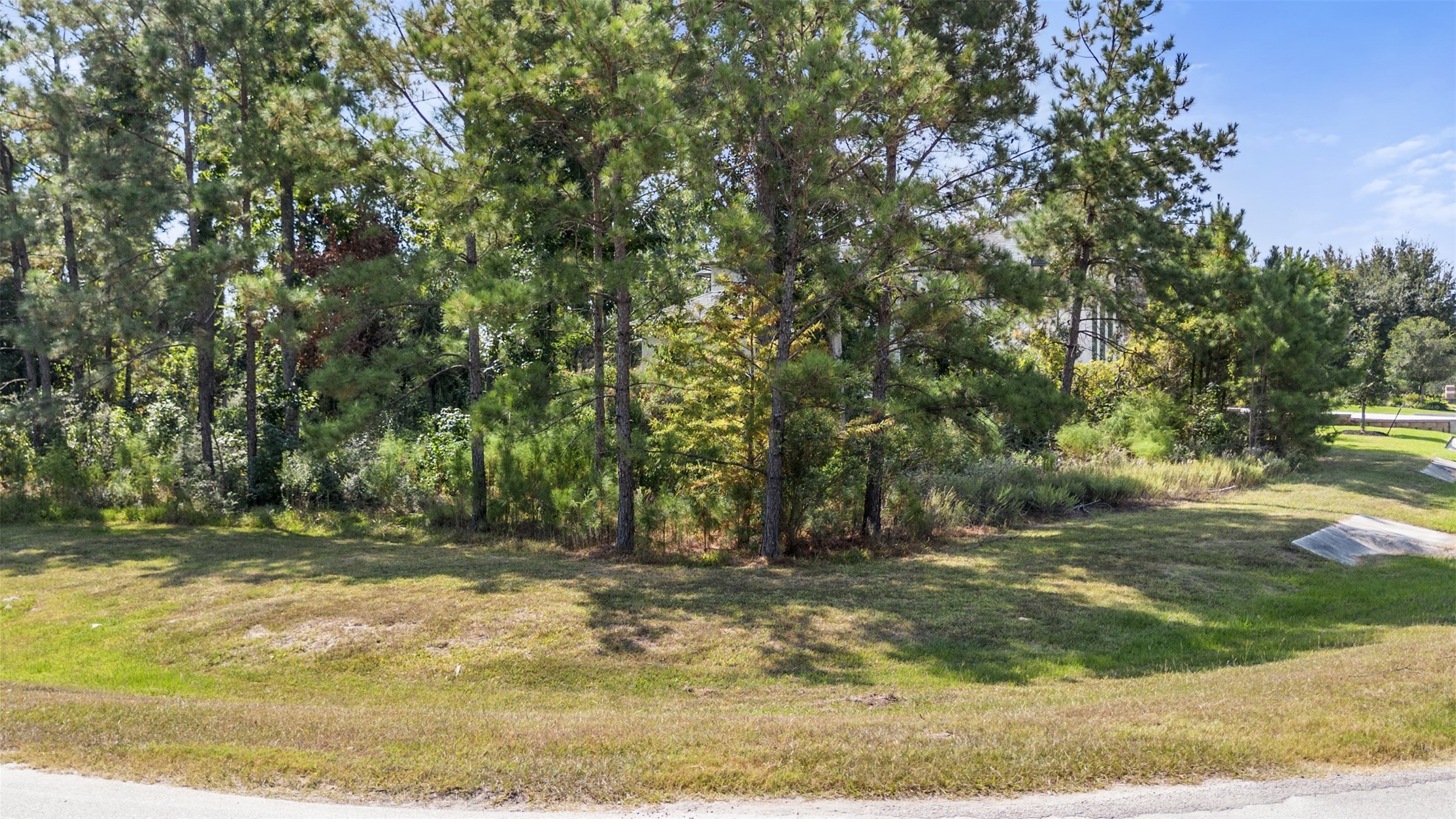 27919 Inspire Crest Landing Spring, TX 77386 - Photo 16 of 17 a view of outdoor space with trees