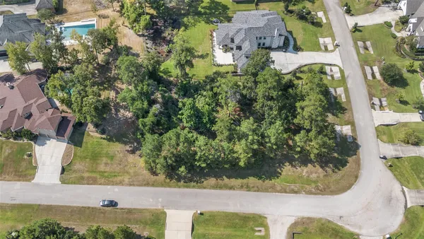 a view of a yard with a trees