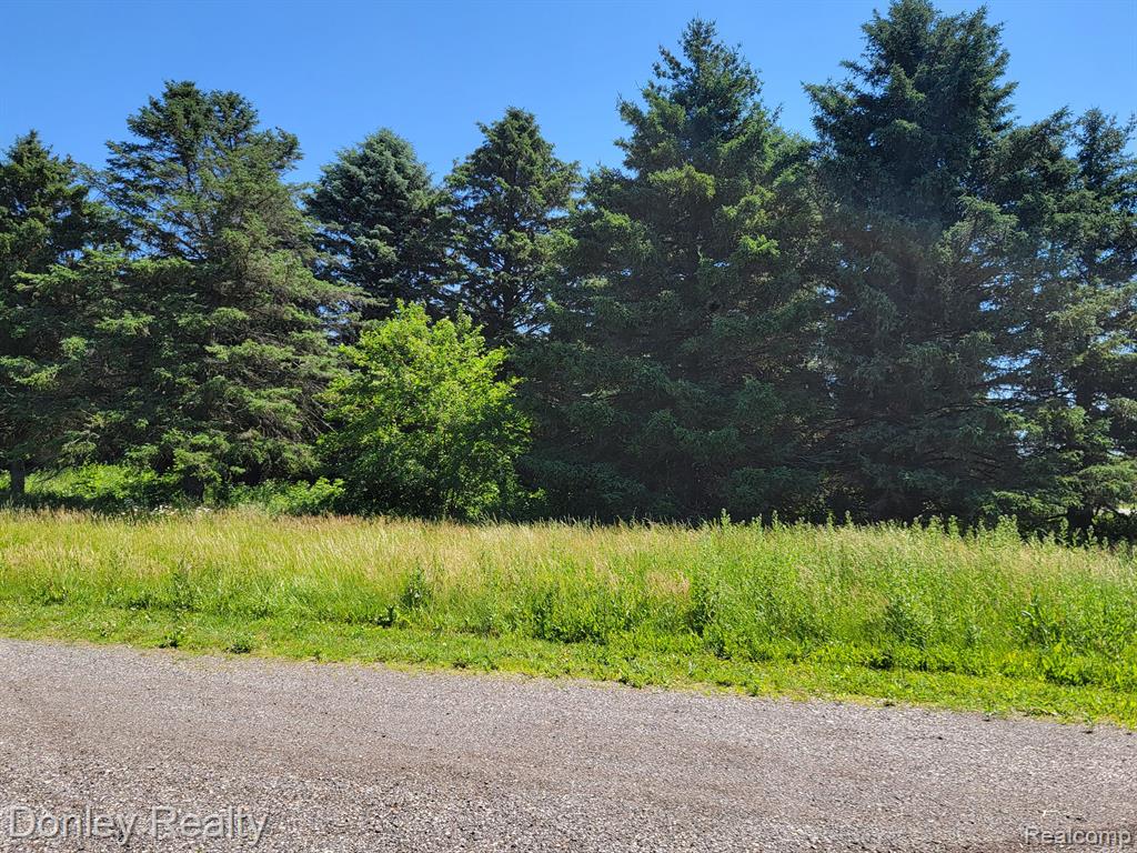 330 West Marlette Road Sandusky, MI 48471 - Photo 25 of 47