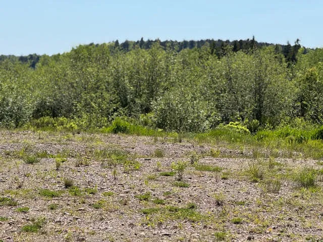 $299,000 | 7 Deep Cove Road, Eastport, ME 04631