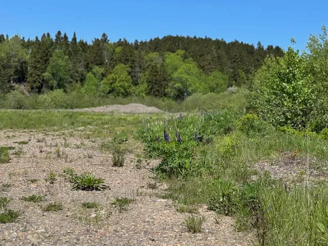 $299,000 | 7 Deep Cove Road, Eastport, ME 04631