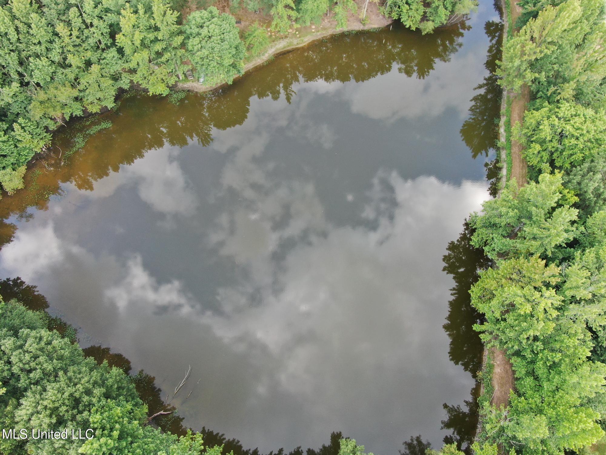 6620 Vaiden Road Hernando, MS 38632 - Photo 49 of 51 Aerial View Lake