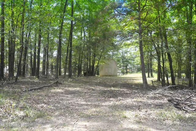 $635,000 | 6620 Vaiden Road, Hernando, MS 38632