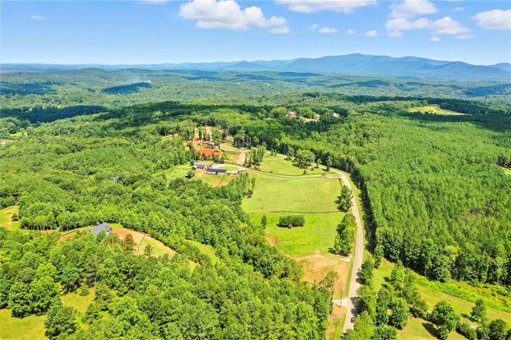 3511 Reavis Mountain Road, Unit 2 Ball Ground, GA 30107 - Photo 7 of 16
